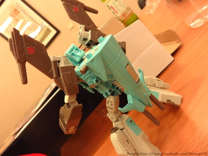 13315575_272535836430184_7852926178389859693_n