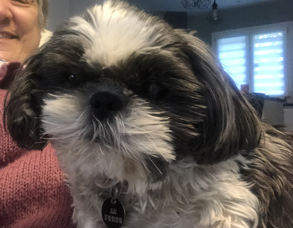 [Image: IMG-7294.jpg]