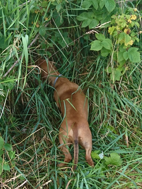 [Image: DSC-2541.jpg]