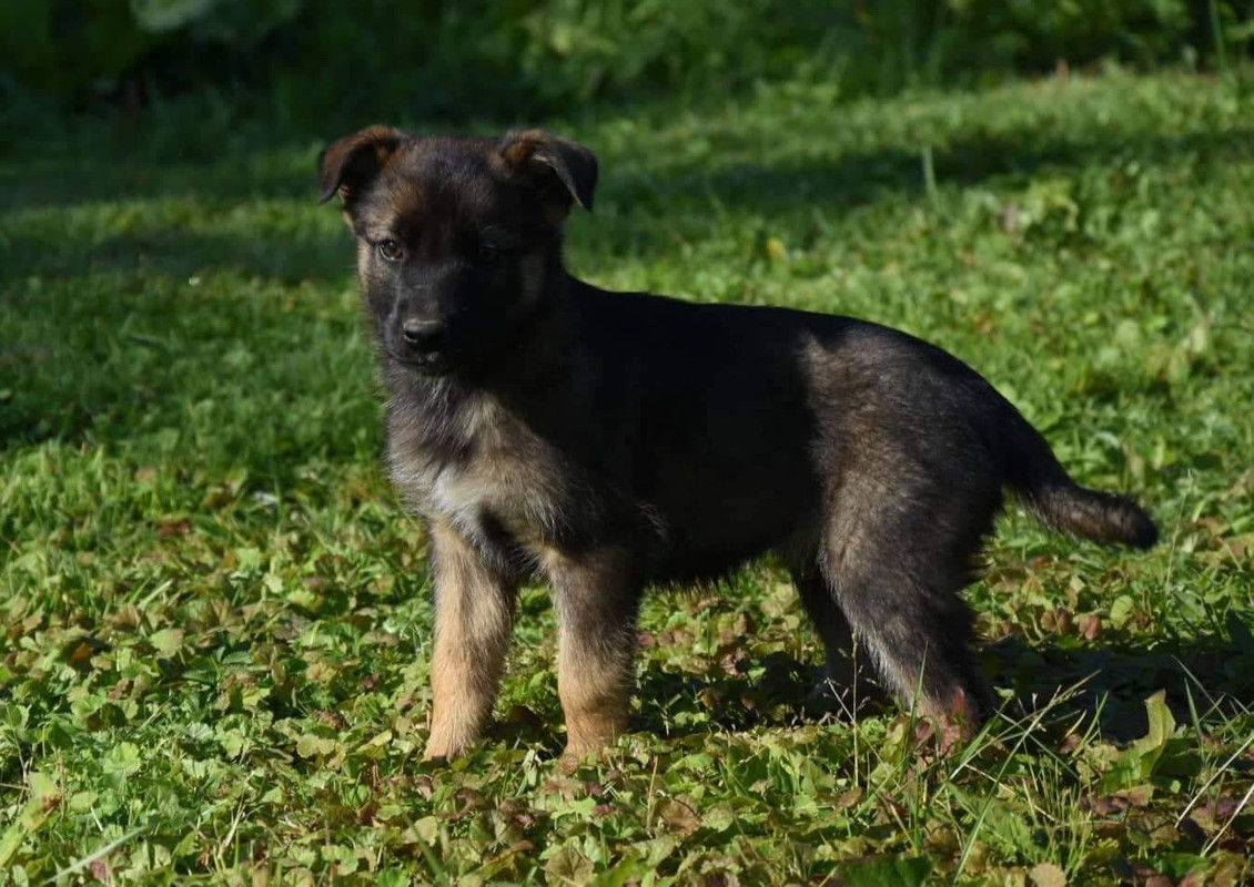 84189993-FB16-4F0A-99A4-BF2B793718E6