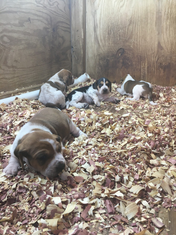 CF1D963D-6971-4127-9D14-E3E0768A39ED