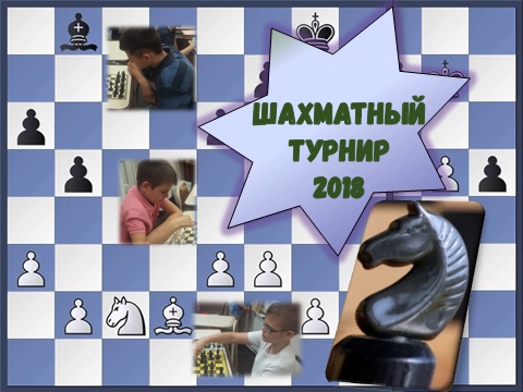 Шахматы