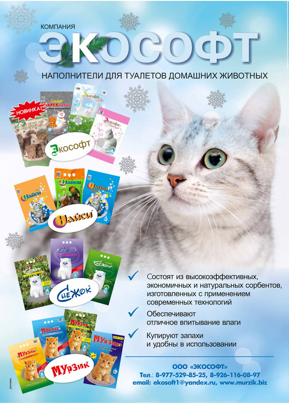 Экософт макет 5