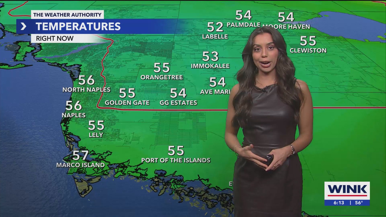WINK News at 600am_20241223_11001130.ts_snapshot_14.28.583
