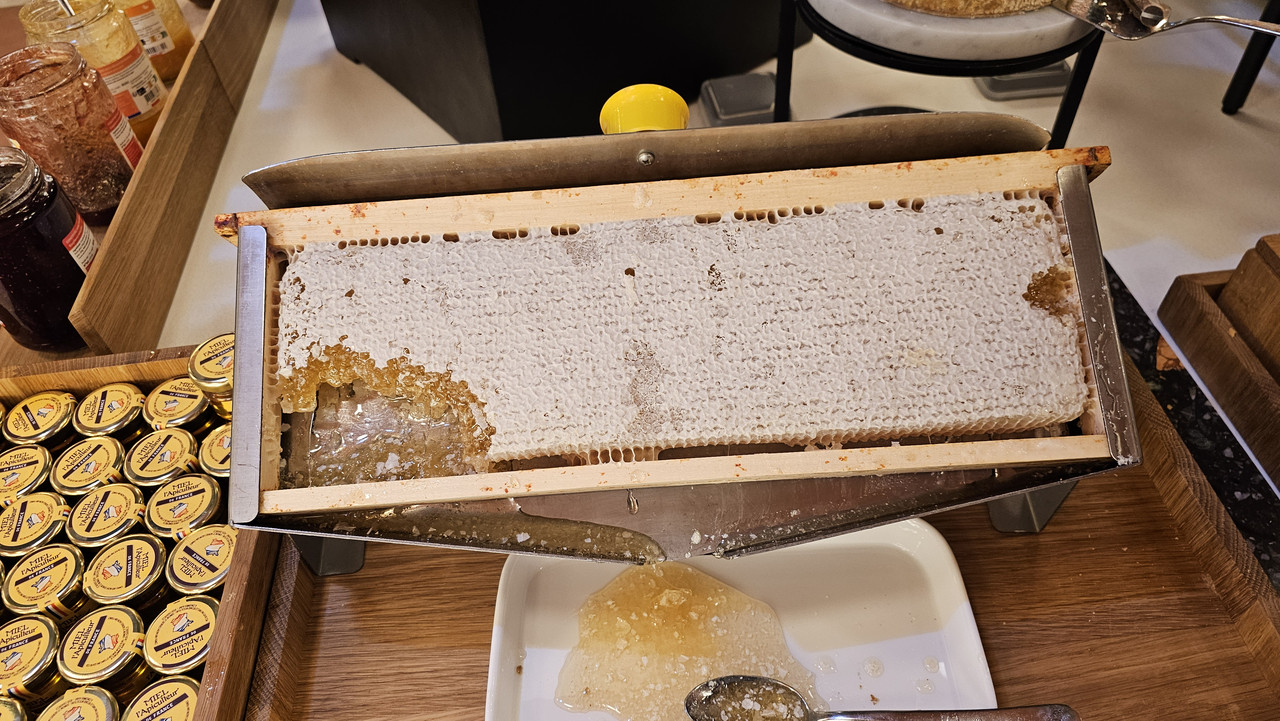 蜂巢蜂蜜,今天時間早所以拍到相對完整的樣貌,看來天天都有一塊新的,哪來這麼多蜂巢?