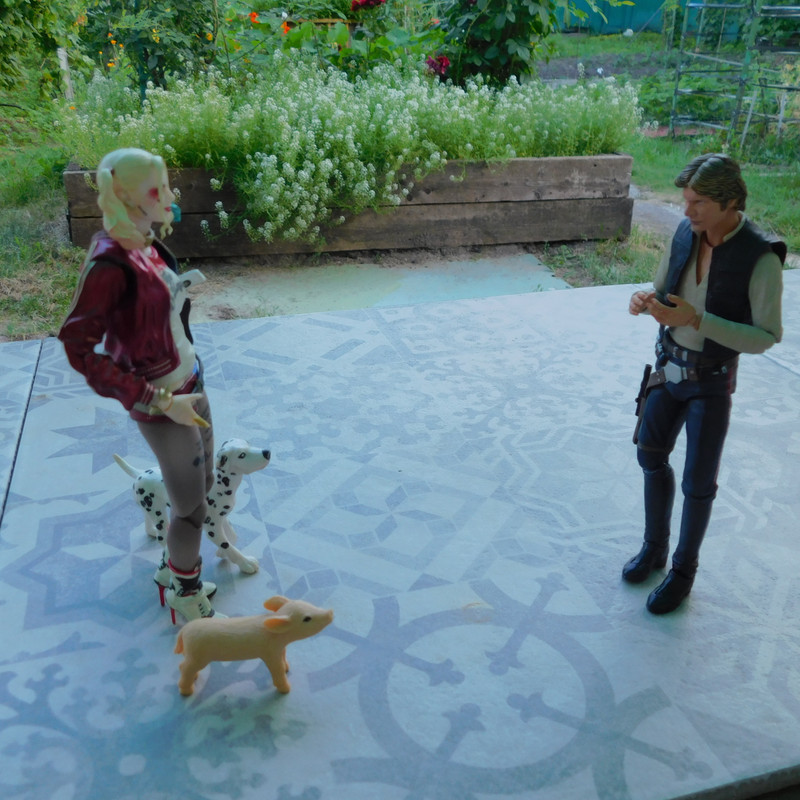 Дачно-Харлинский июнь-июль 2024 289