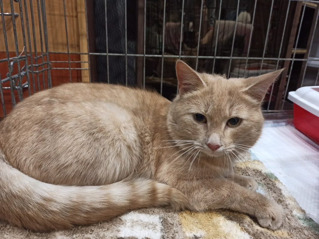 BA955224-9622-4C69-9FAF-F4ED99F8D300