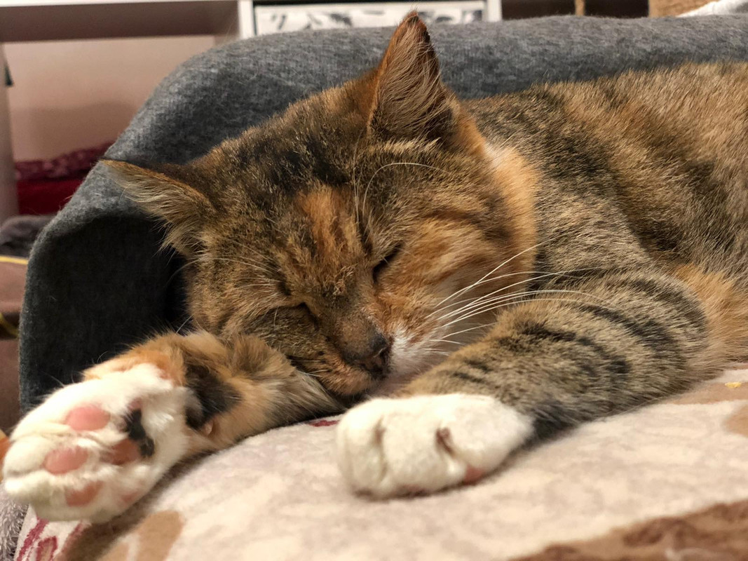 67CA1A1B-811A-410E-A33C-A95B2688D7D2