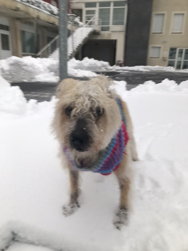 13F37AD1-0B8B-4699-AF3D-3847F0A1E9AA