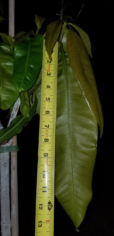 20180721_213920