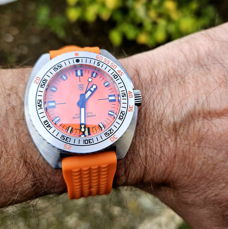 Le club des heureux propriétaires décomplexés de montres "hommage" - tome 6 - Page 10 20231031-133049