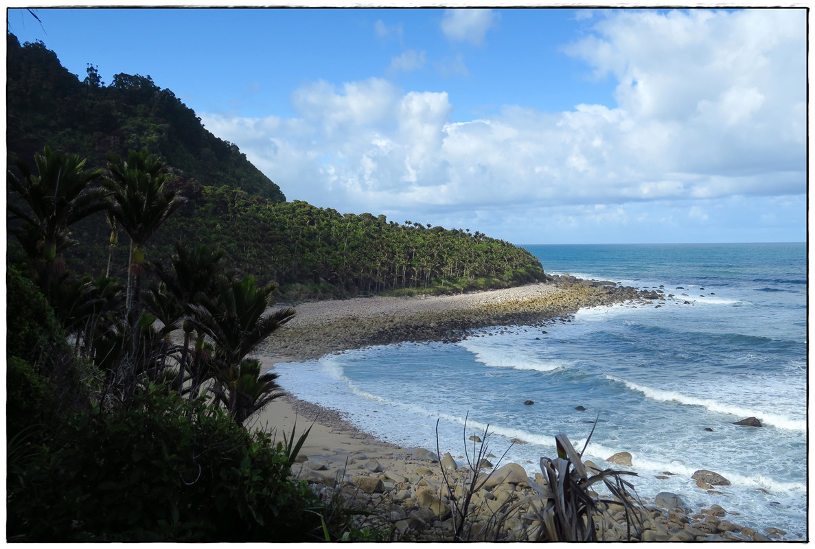 Escapadas y rutas por la Nueva Zelanda menos conocida - Blogs de Nueva Zelanda - Kahurangi NP: Heaphy Track (Navidad 2020, III) (47)