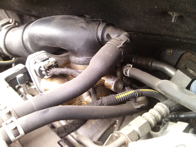 leptir klapna gasa (2)