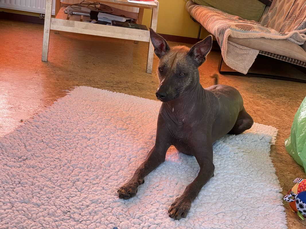 2BB83432-84E5-4967-A1D5-28BE7058EA2F