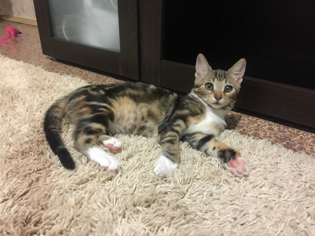 3B70F689-7ABA-4CE5-A873-2121344BAE9C