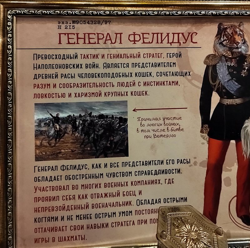 https://i.postimg.cc/pLj1ZxvQ/039-IMG-20250128-144841.jpg
