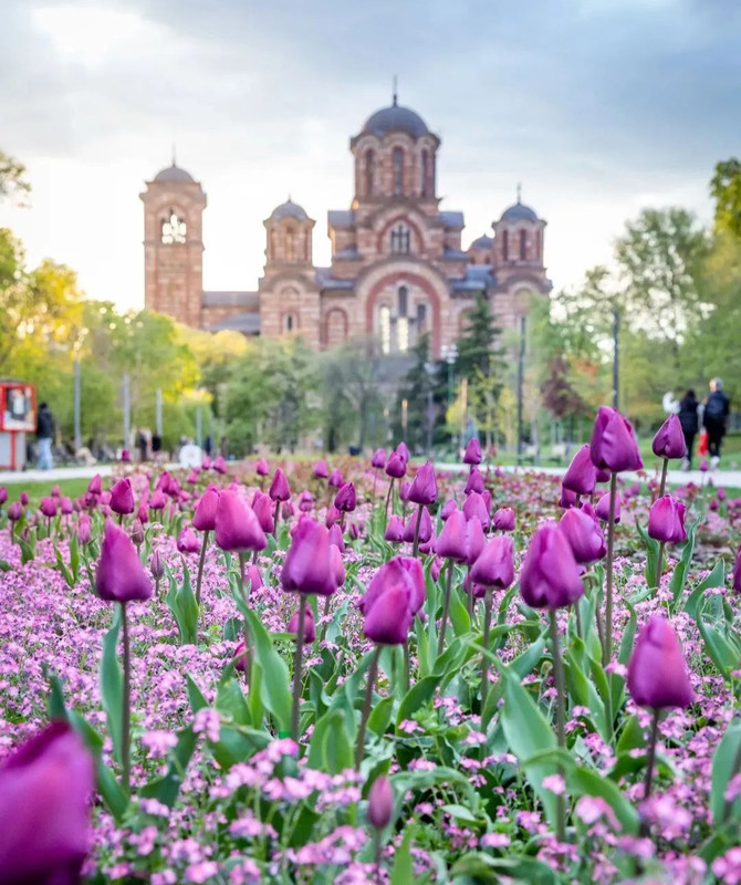 Screenshot_20240425_204852_Threads