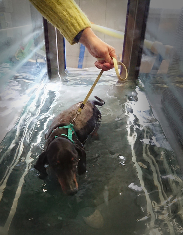 [Image: 20221209-141801.jpg]