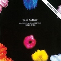 junk culture