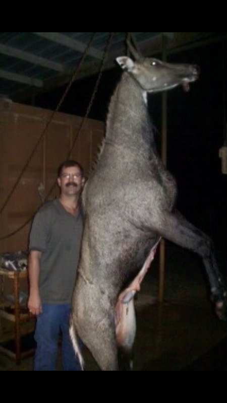 DF625ED1-5CFF-4620-90BE-6FD5BEEF534E