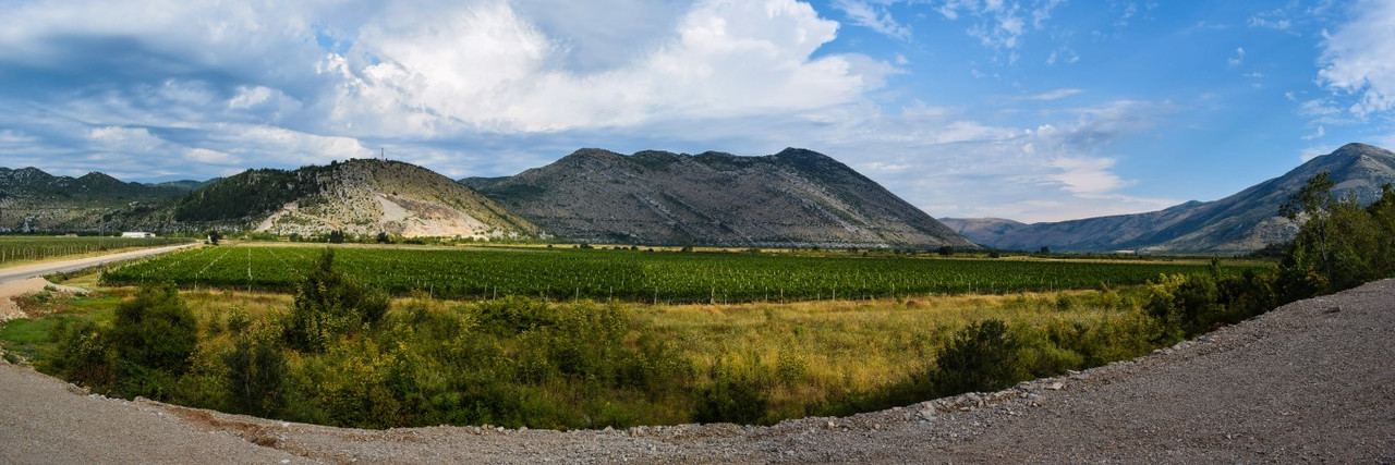 DSC_1125_stitch