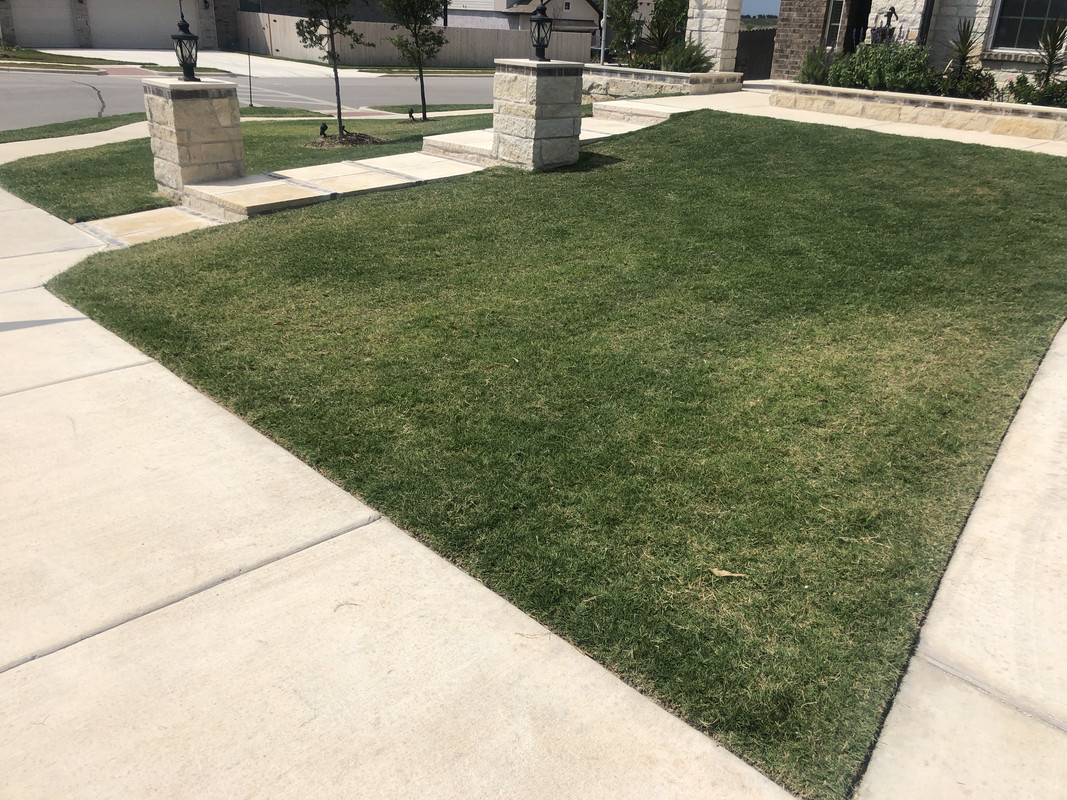 1D9562FD-ACCA-459D-9778-0B71CCFC7627