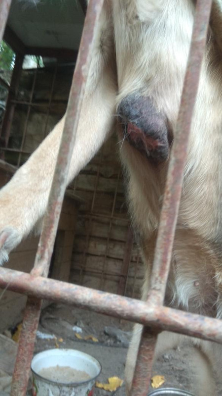 B1C4EE32-B7CC-4B8E-B13E-2CA064BF583A