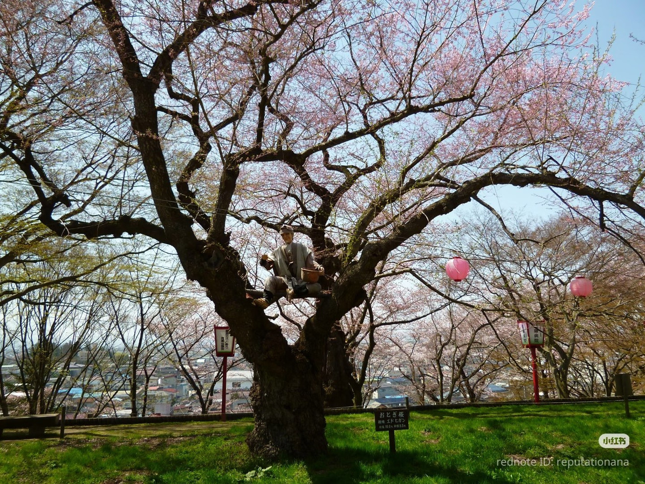 photo 16 2026 01 16 21 56 05