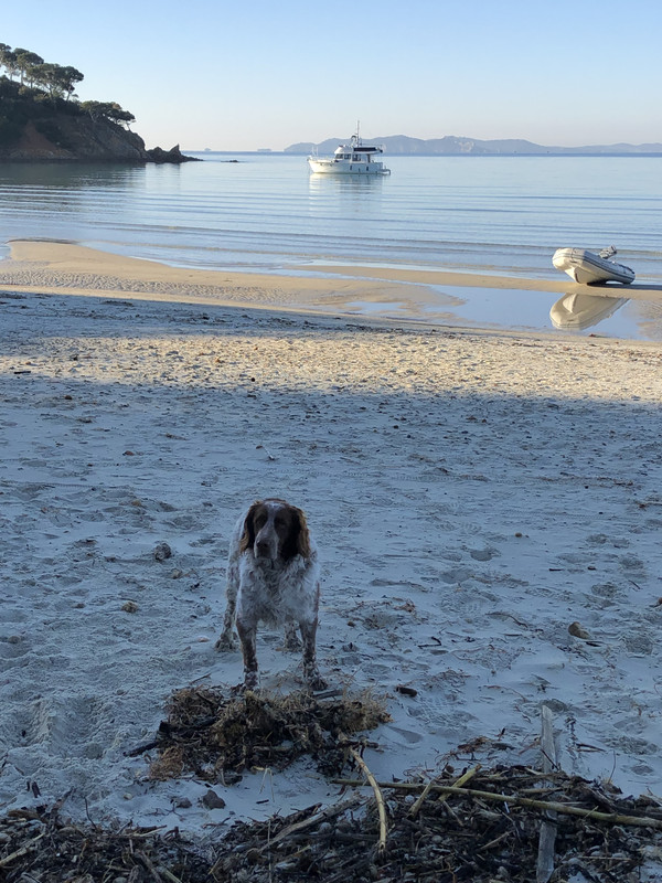 8C279C36-9FE6-45C3-B770-052C937924B4