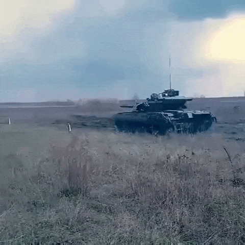https://i.postimg.cc/pLkgLyT2/video-2026-08-15-06-31-54-(1).gif