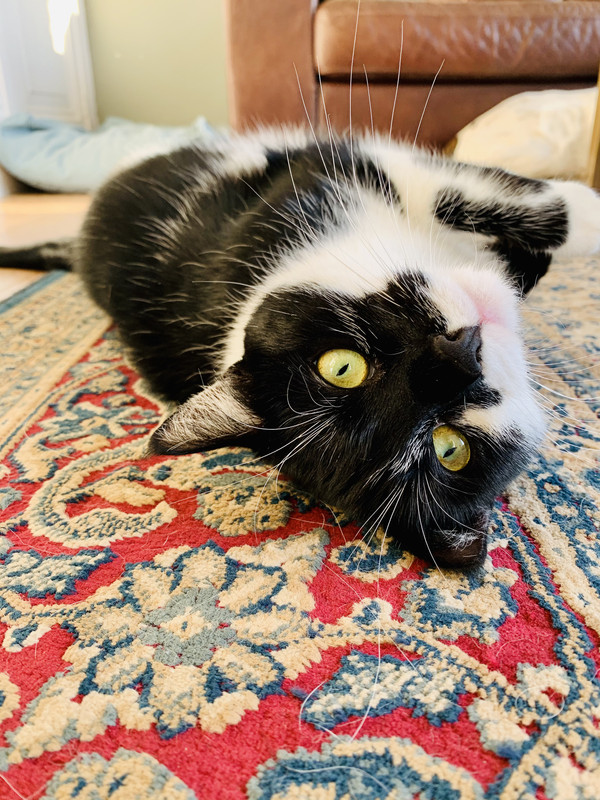 2396BBA9-14F9-45A5-8142-E84A55FE030F