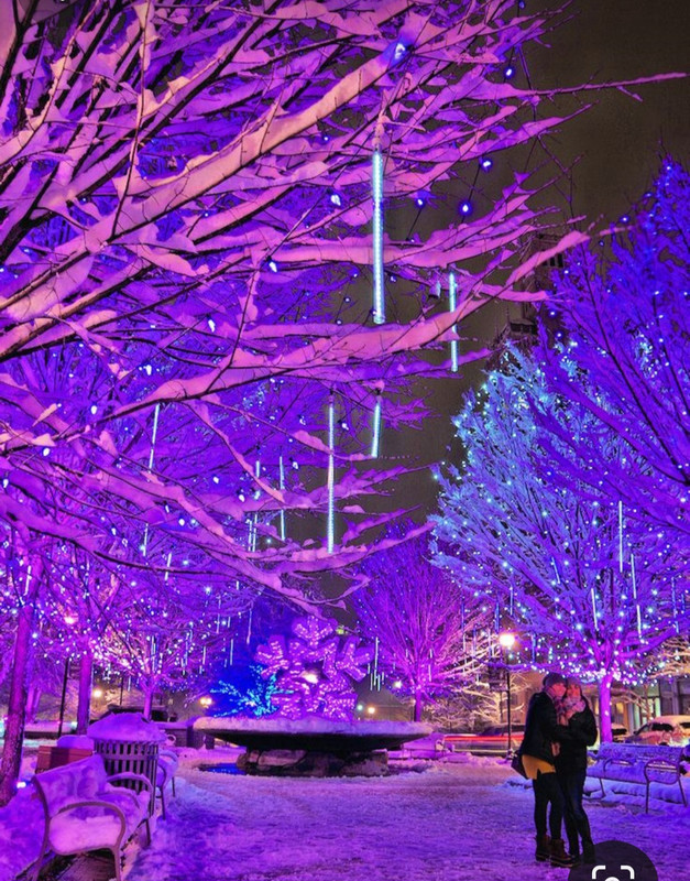 Screenshot_20231211_205102_Pinterest