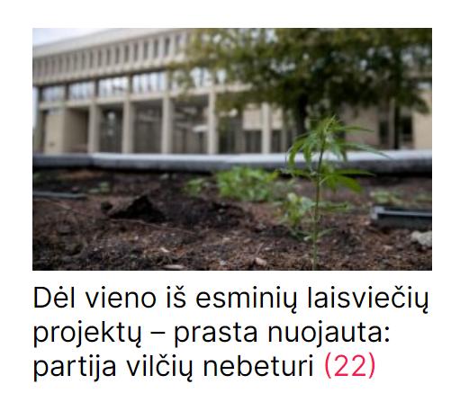 Ligotas kauno hipsteris konstatuoja: Nebus nei dekriminalizavimų, nei partnerysčių nei šią kadenciją, nei kitą