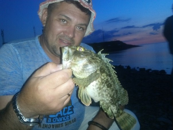 королева ершей