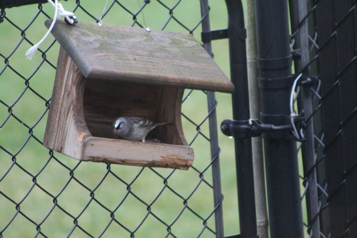 20220504085950_IMG_1010