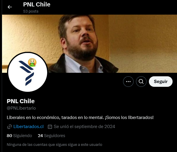 Screenshot-2025-01-26-at-23-11-31-PNL-Chile-PNLibertario-X.png