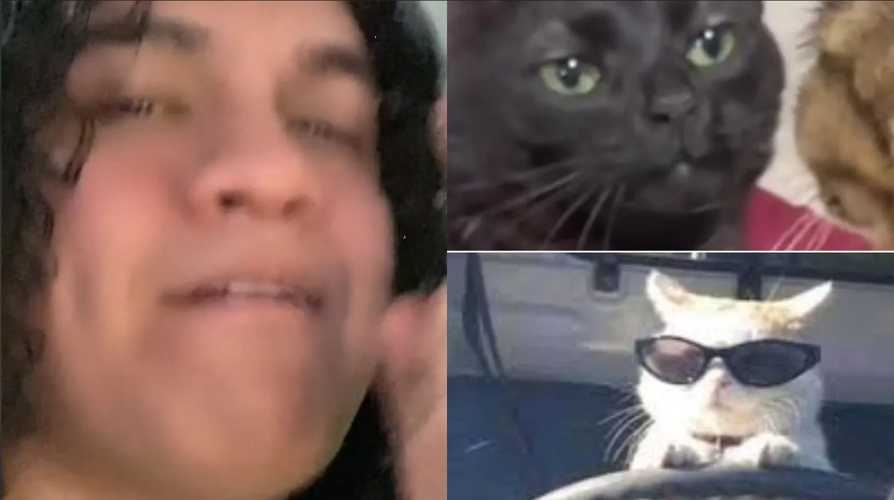 Influencer narra como evadió multa por exceso de velocidad, fingió que era su boda