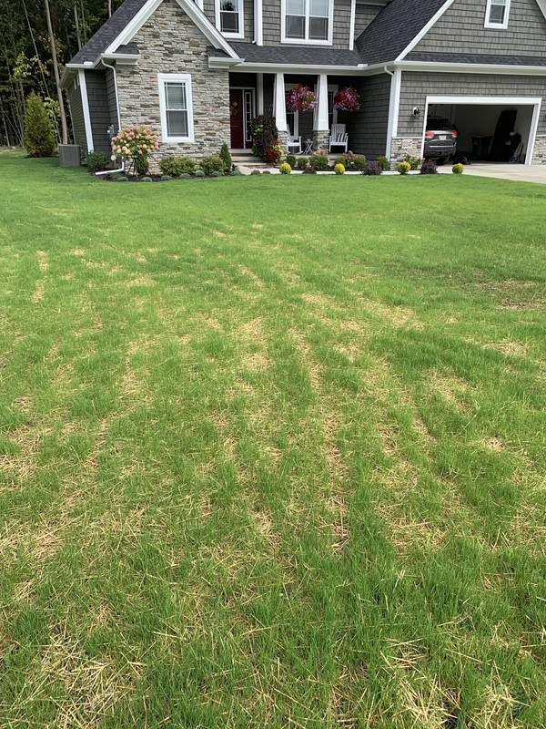 T8VwbxYYSY2XF%SZbgTGgQ