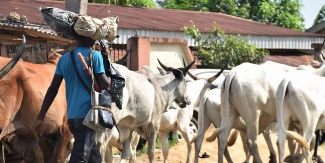 Herdsmen