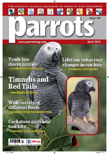 Parrots - April / 2023