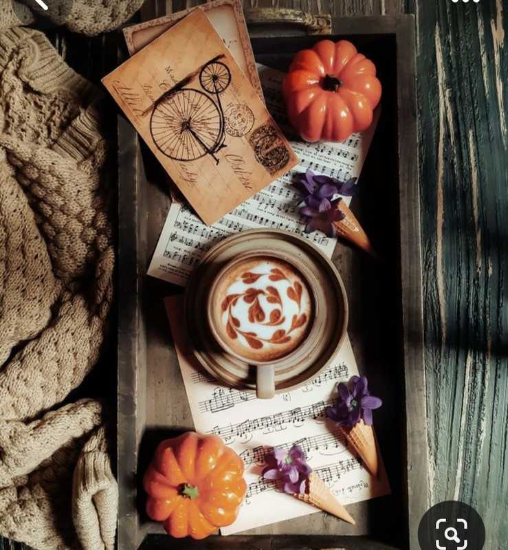 Screenshot_20230909_003720_Pinterest