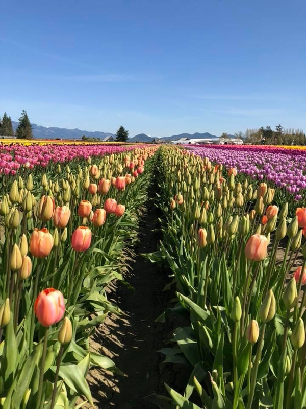 [Image: 30-A29-F91-BE7-E-4660-A9-C3-A30116900890.jpg]