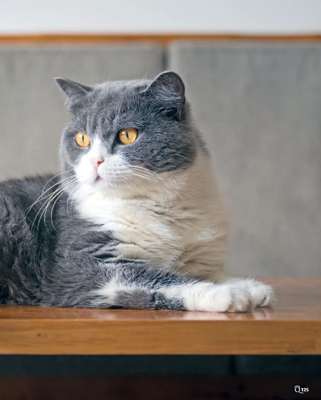 QuattroZampe Nov 2023 (12)