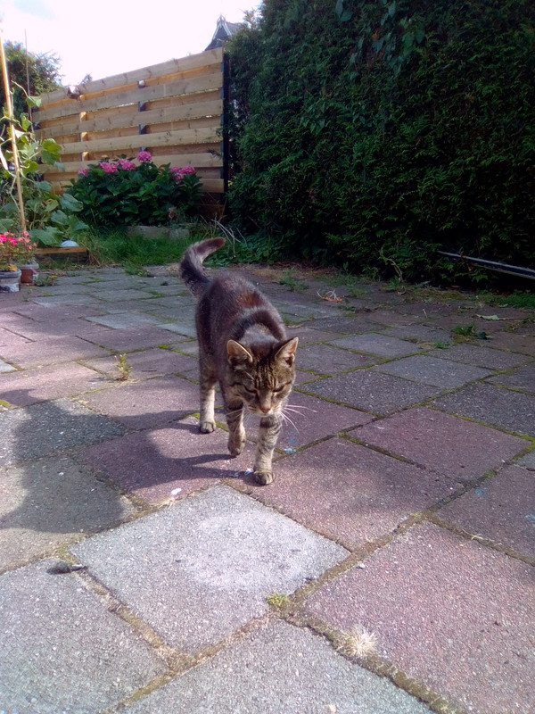 муся когда только пришла (6)