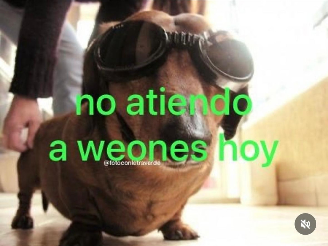 Imagen-de-Whats-App-2024-08-26-a-las-23-