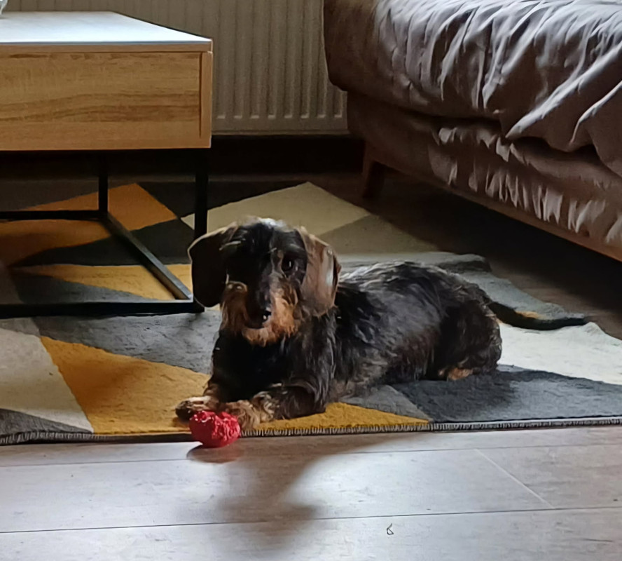 [Image: IMG-20250605-172207.jpg]