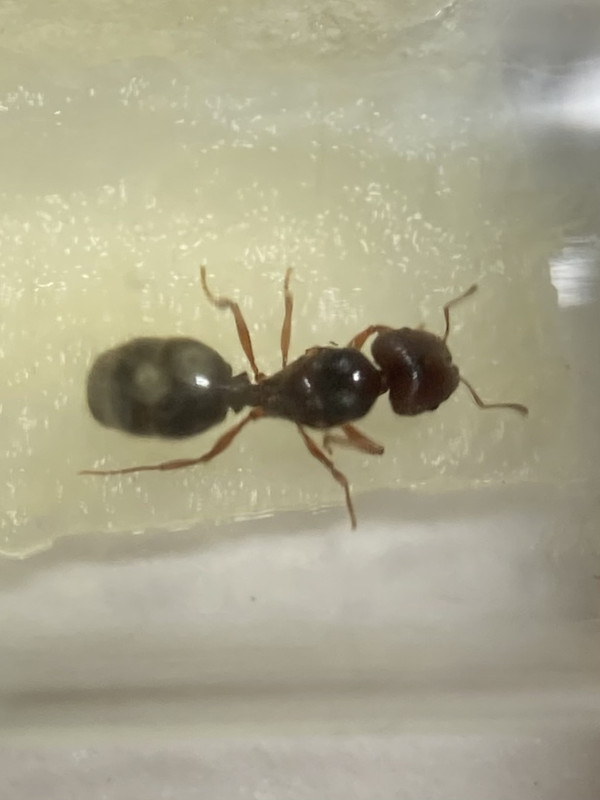 C841A377-1712-4FFA-96A2-CFB43DA9BB2E