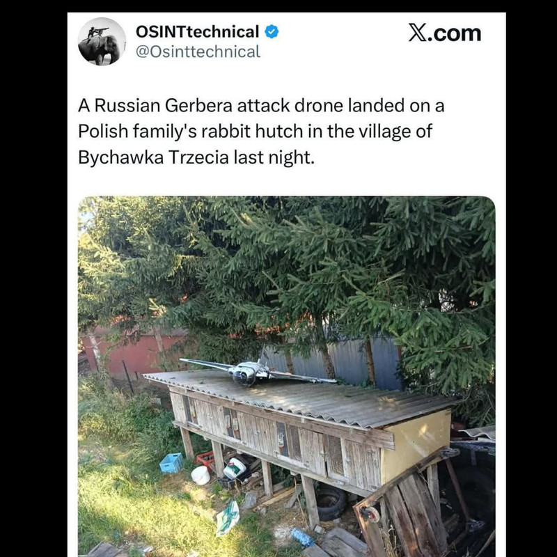 https://i.postimg.cc/pLnLYDqn/photo-2025-09-11-10-01-29.jpg