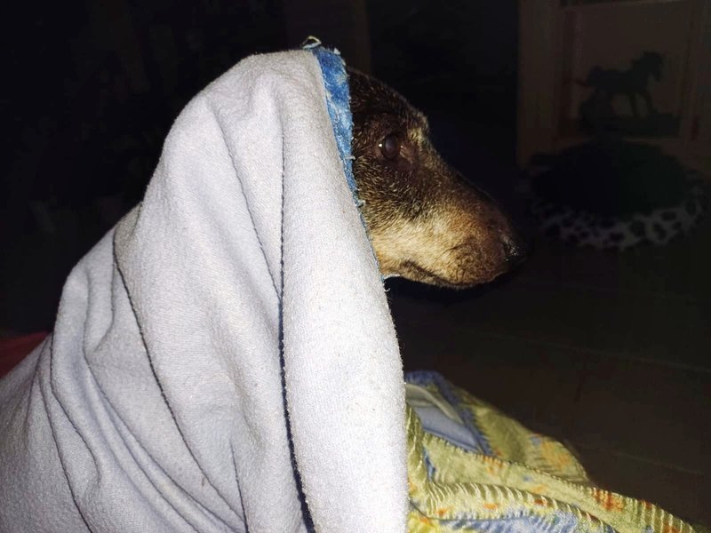 [Image: 20240306-211329.jpg]