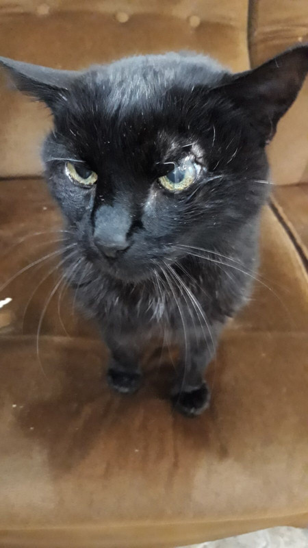 FC6BD078-5F95-47C7-B823-413CEEF82DFD